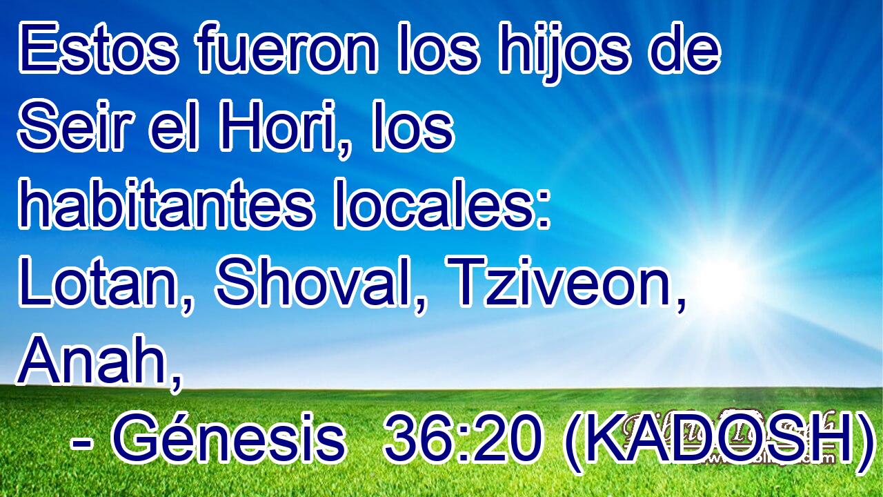 Estos fueron los hijos de Seir el Hori, los habitantes locales: Lotan, Shoval, Tziveon, Anah, 