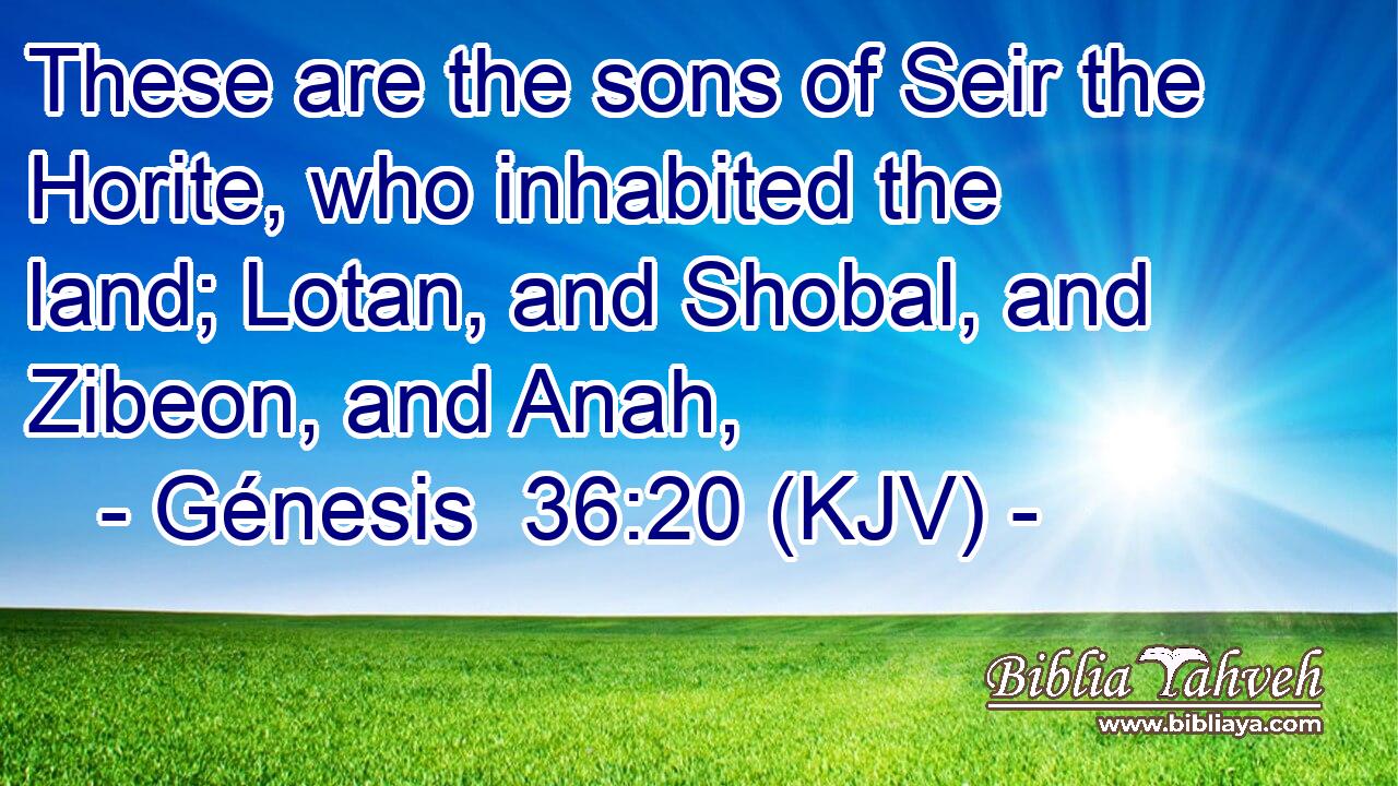 These are the sons of Seir the Horite, who inhabited the land; Lotan, and Shobal, and Zibeon, and Anah,