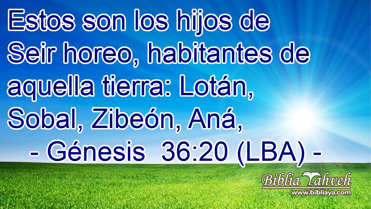 Estos son los hijos de Seir horeo, habitantes de aquella tierra: Lotán, Sobal, Zibeón, Aná,
