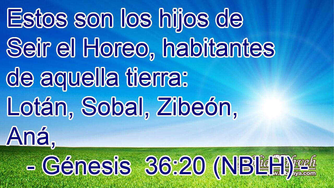  Estos son los hijos de Seir el Horeo, habitantes de aquella tierra: Lotán, Sobal, Zibeón, Aná, 