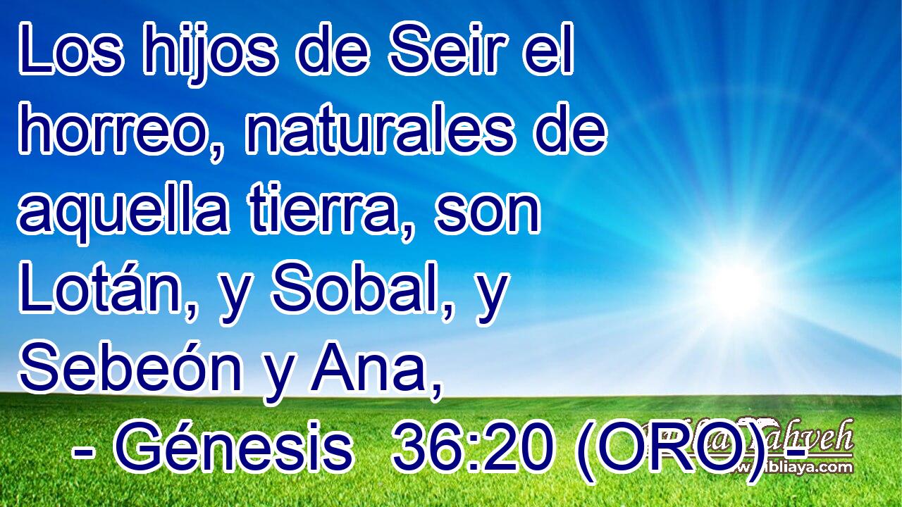  Los hijos de Seir el horreo, naturales de aquella tierra, son Lotán, y Sobal, y Sebeón y Ana, 