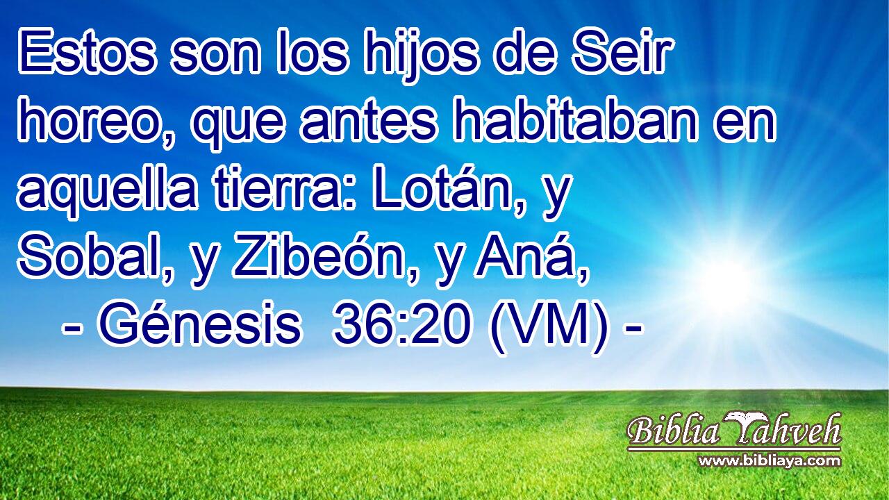  Estos son los hijos de Seir horeo, que antes habitaban en aquella tierra: Lotán, y Sobal, y Zibeón, y Aná, 