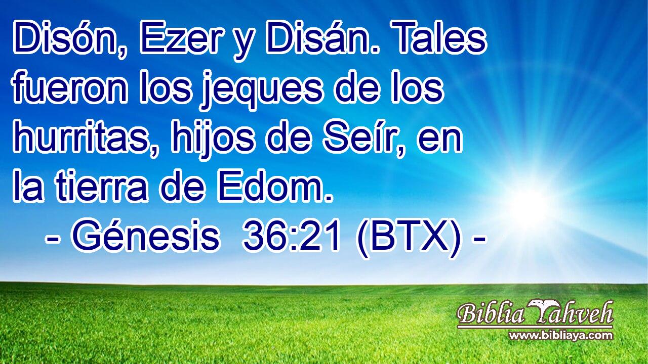 Disón, Ezer y Disán. Tales fueron los jeques de los hurritas, hijos de Seír, en la tierra de Edom.