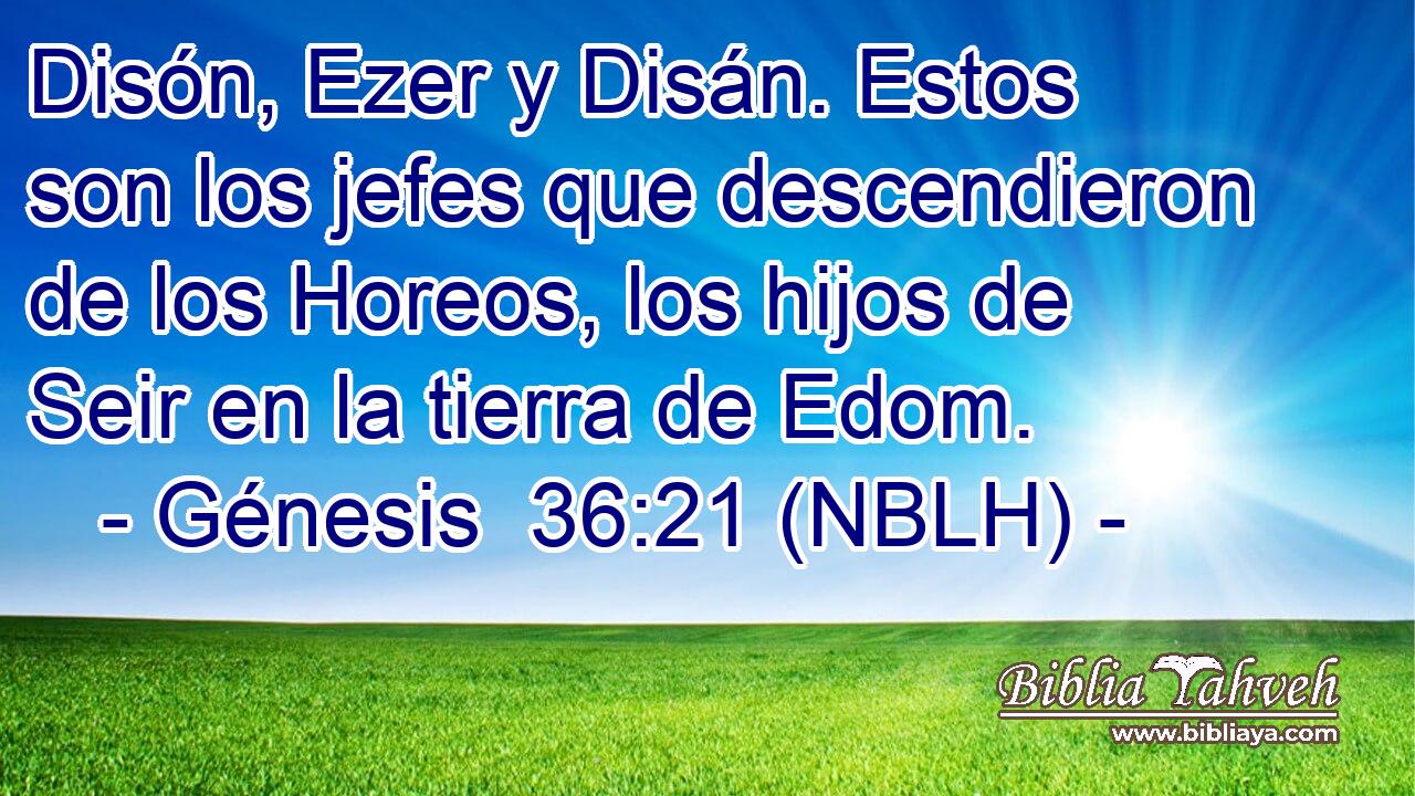  Disón, Ezer y Disán. Estos son los jefes que descendieron de los Horeos, los hijos de Seir en la tierra de Edom. 