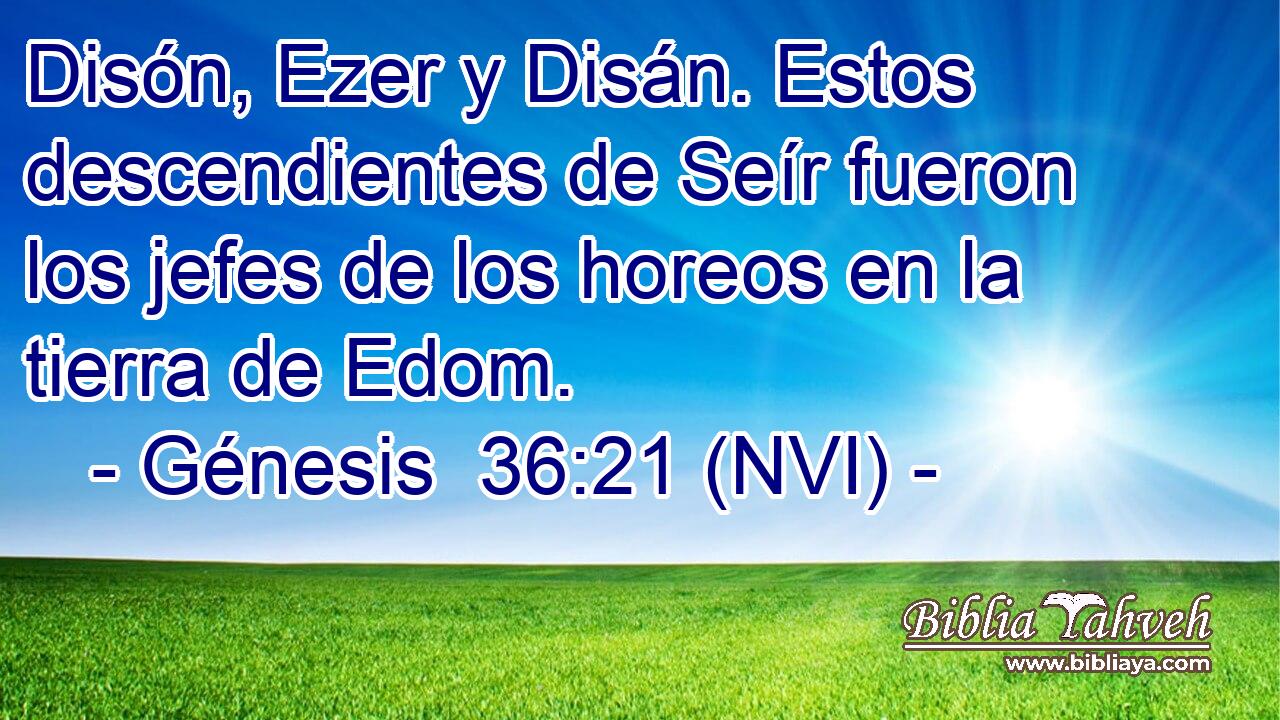  Disón, Ezer y Disán. Estos descendientes de Seír fueron los jefes de los horeos en la tierra de Edom. 