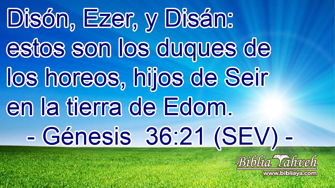 Disón, Ezer, y Disán: estos son los duques de los horeos, hijos de Seir en la tierra de Edom.