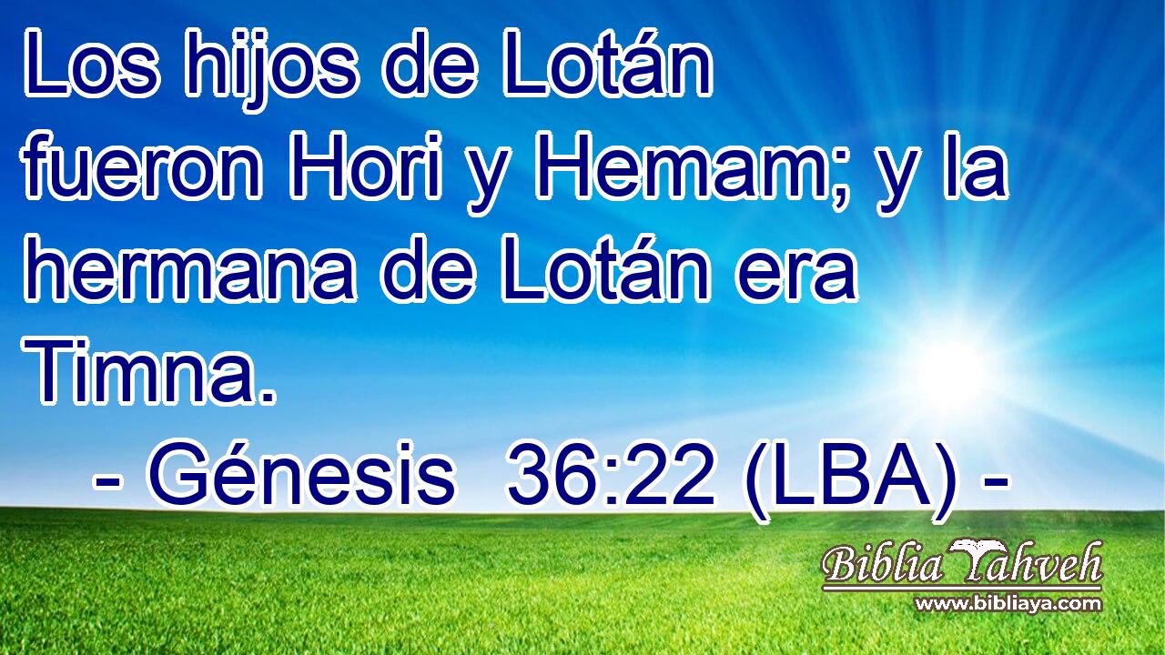 Los hijos de Lotán fueron Hori y Hemam; y la hermana de Lotán era Timna.