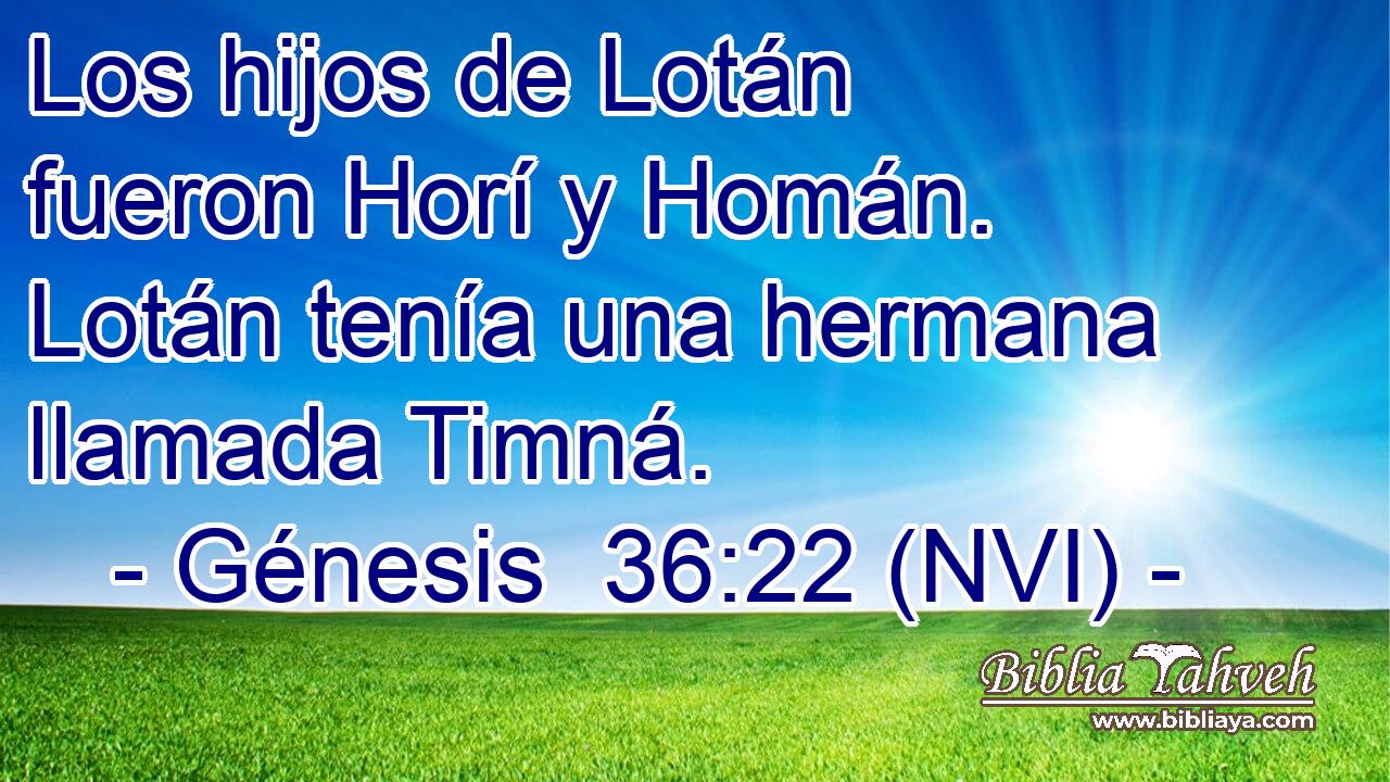  Los hijos de Lotán fueron Horí y Homán. Lotán tenía una hermana llamada Timná. 