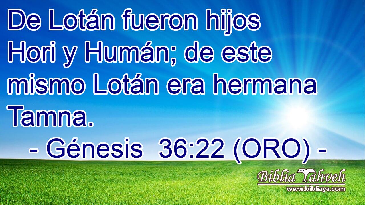  De Lotán fueron hijos Hori y Humán; de este mismo Lotán era hermana Tamna. 