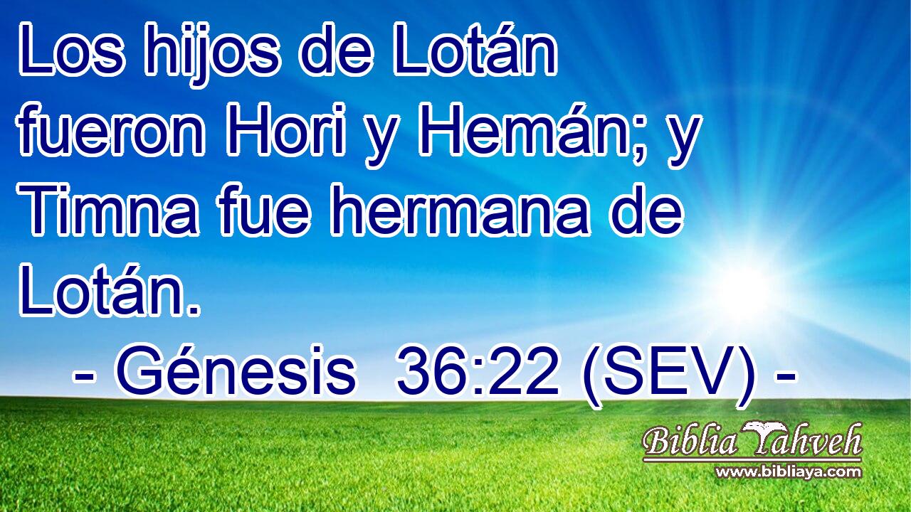 Los hijos de Lotán fueron Hori y Hemán; y Timna fue hermana de Lotán.