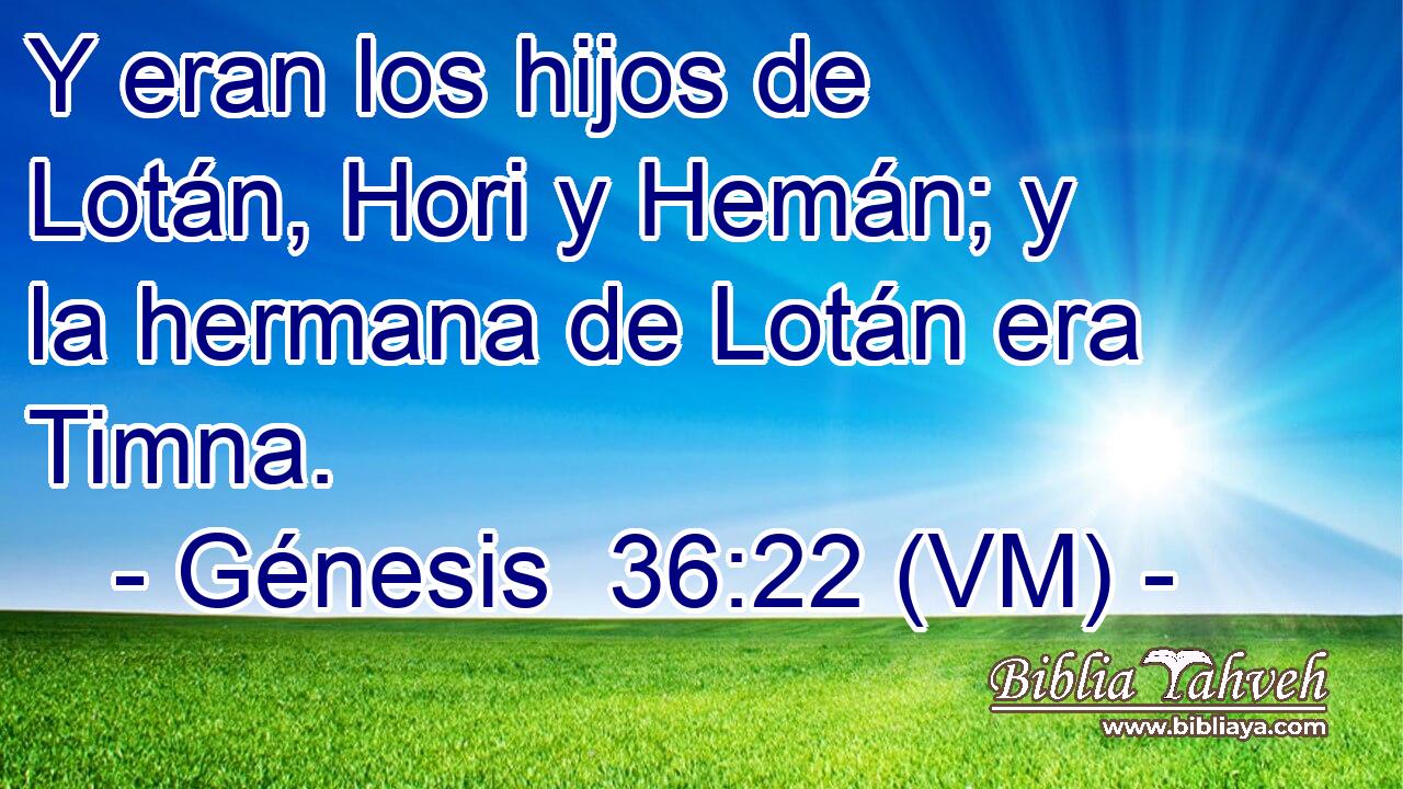  Y eran los hijos de Lotán, Hori y Hemán; y la hermana de Lotán era Timna. 