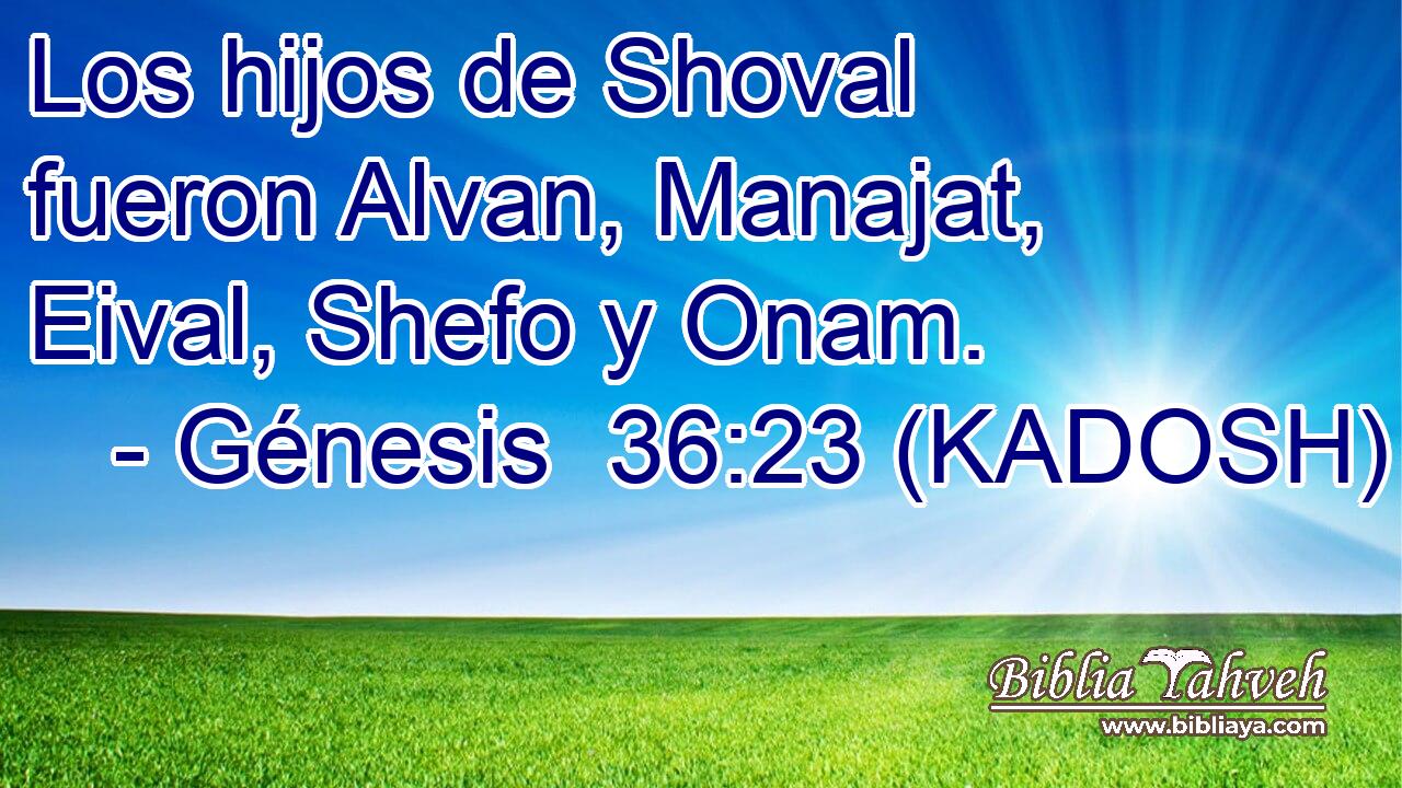  Los hijos de Shoval fueron Alvan, Manajat, Eival, Shefo y Onam. 