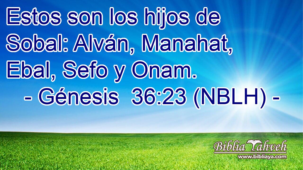  Estos son los hijos de Sobal: Alván, Manahat, Ebal, Sefo y Onam. 