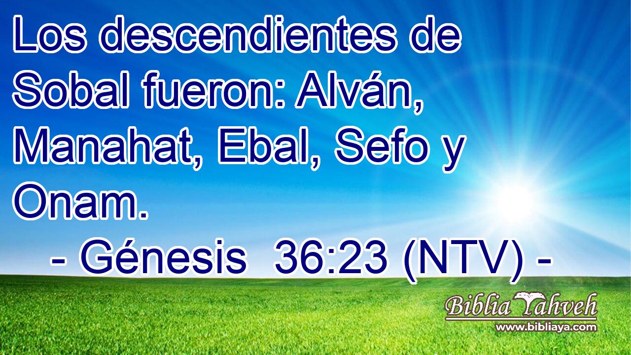 Los descendientes de Sobal fueron: Alván, Manahat, Ebal, Sefo y Onam.