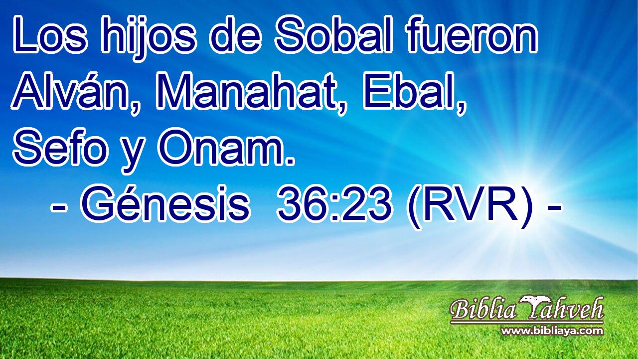 Los hijos de Sobal fueron Alván, Manahat, Ebal, Sefo y Onam.