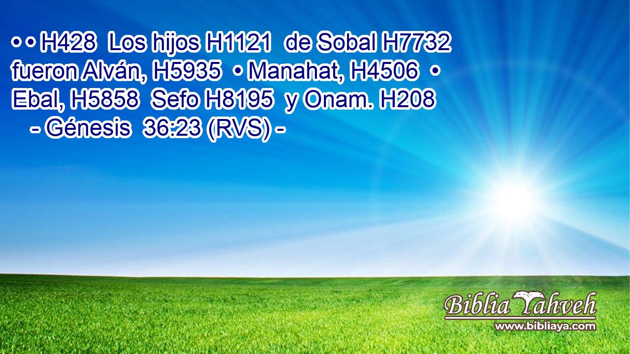 • • H428  Los hijos H1121  de Sobal H7732  fueron Alván, H5935  • Manahat, H4506  • Ebal, H5858  Sefo H8195  y Onam. H208  