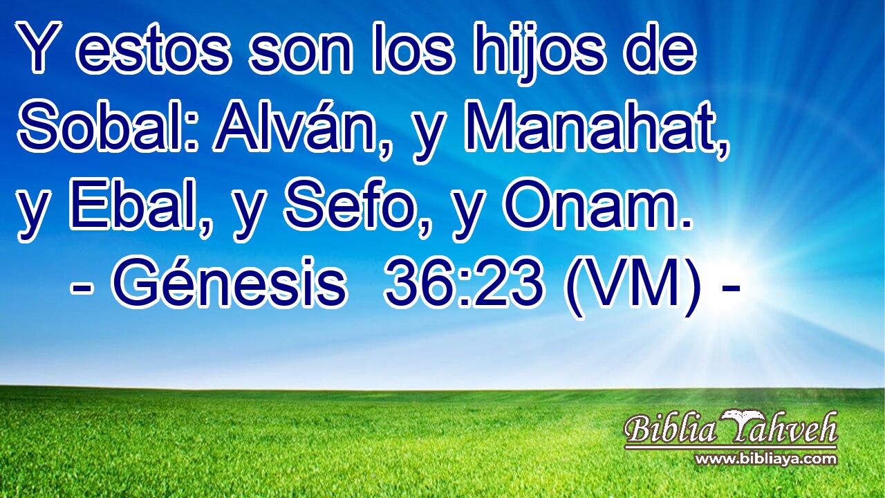  Y estos son los hijos de Sobal: Alván, y Manahat, y Ebal, y Sefo, y Onam. 