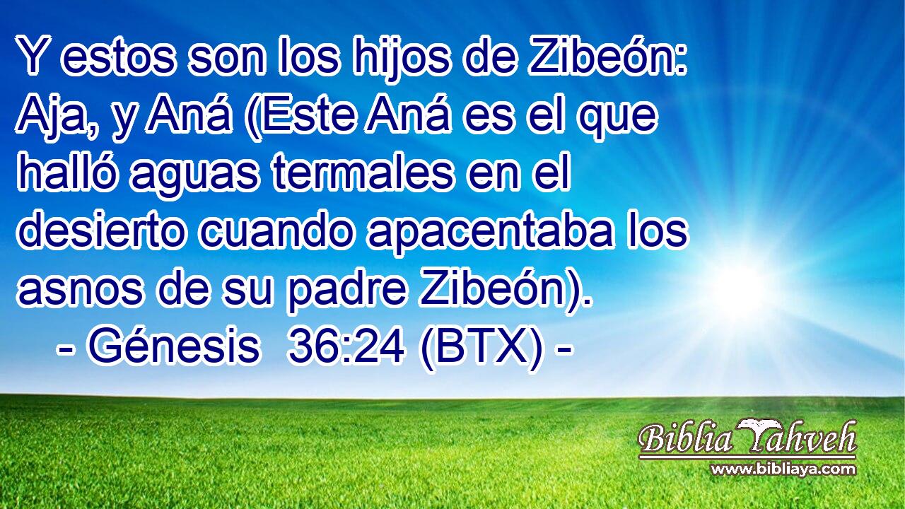 Y estos son los hijos de Zibeón: Aja, y Aná (Este Aná es el que halló aguas termales en el desierto cuando apacentaba los asnos de su padre Zibeón).