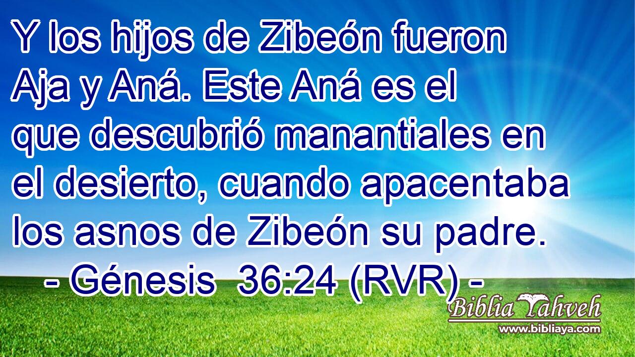 Y los hijos de Zibeón fueron Aja y Aná. Este Aná es el que descubrió manantiales en el desierto, cuando apacentaba los asnos de Zibeón su padre.