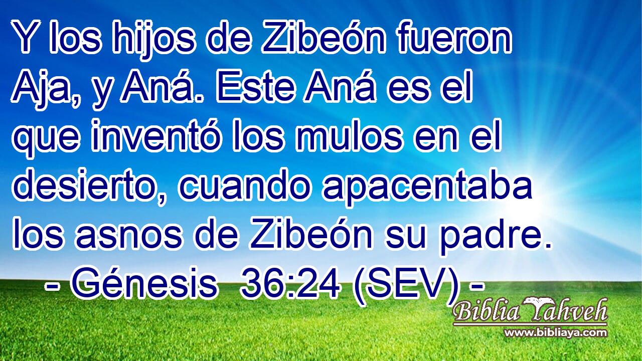 Y los hijos de Zibeón fueron Aja, y Aná. Este Aná es el que inventó los mulos en el desierto, cuando apacentaba los asnos de Zibeón su padre.