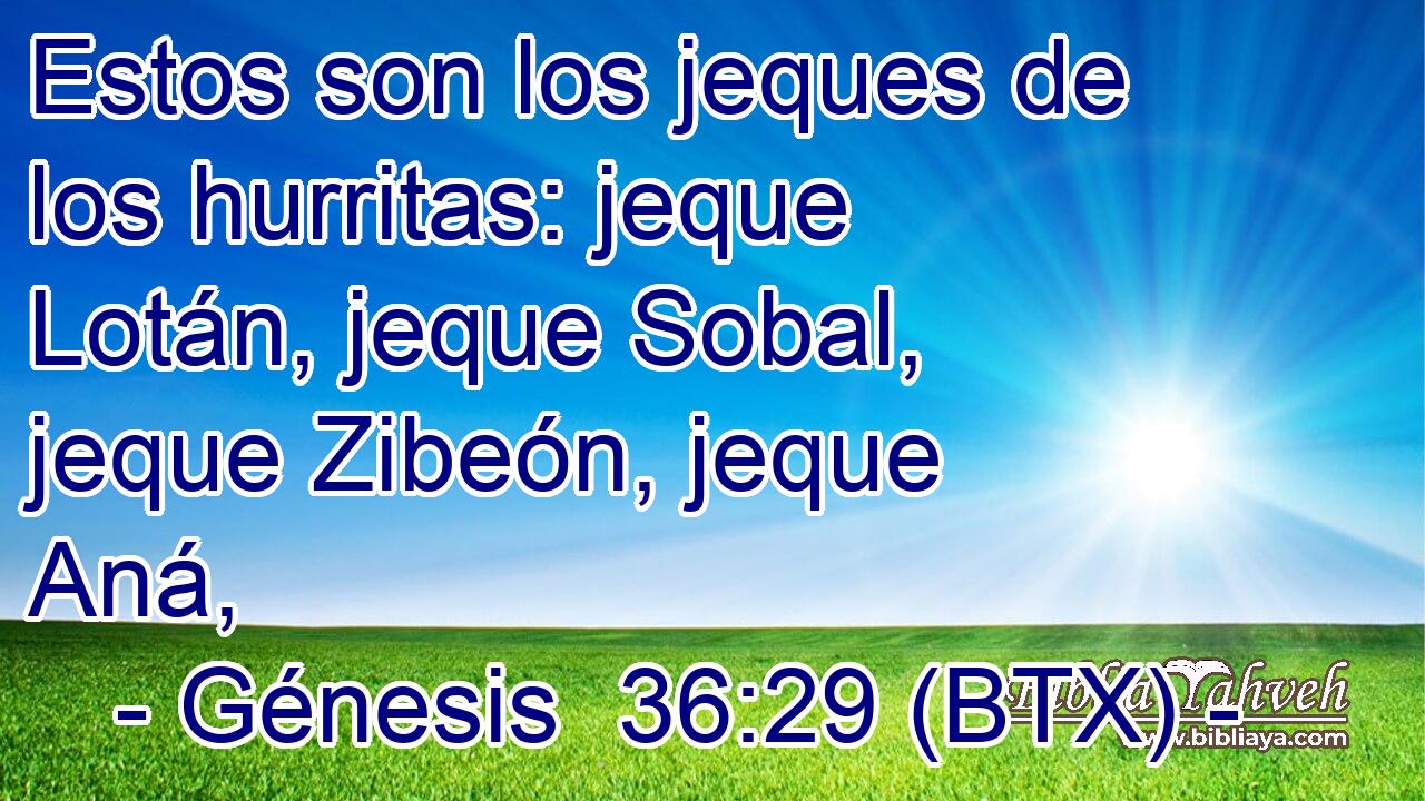Estos son los jeques de los hurritas: jeque Lotán, jeque Sobal, jeque Zibeón, jeque Aná,