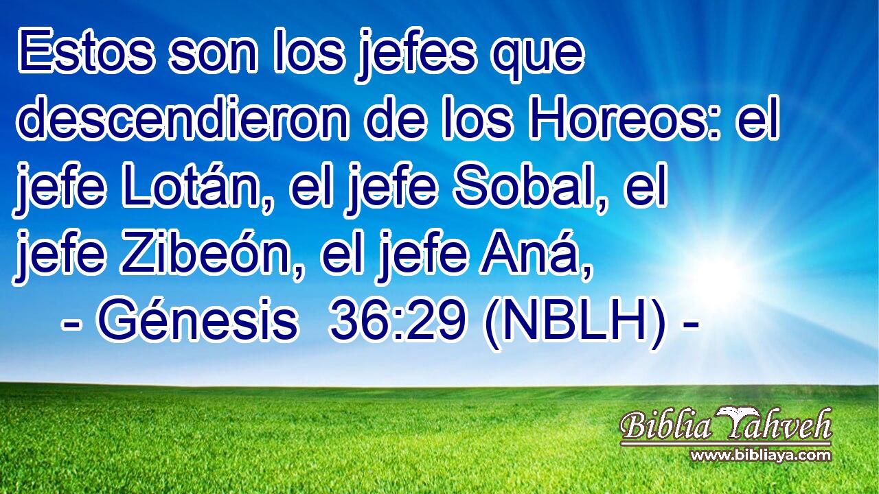  Estos son los jefes que descendieron de los Horeos: el jefe Lotán, el jefe Sobal, el jefe Zibeón, el jefe Aná, 