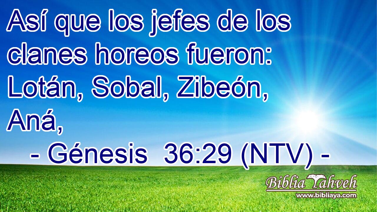 Así que los jefes de los clanes horeos fueron: Lotán, Sobal, Zibeón, Aná,