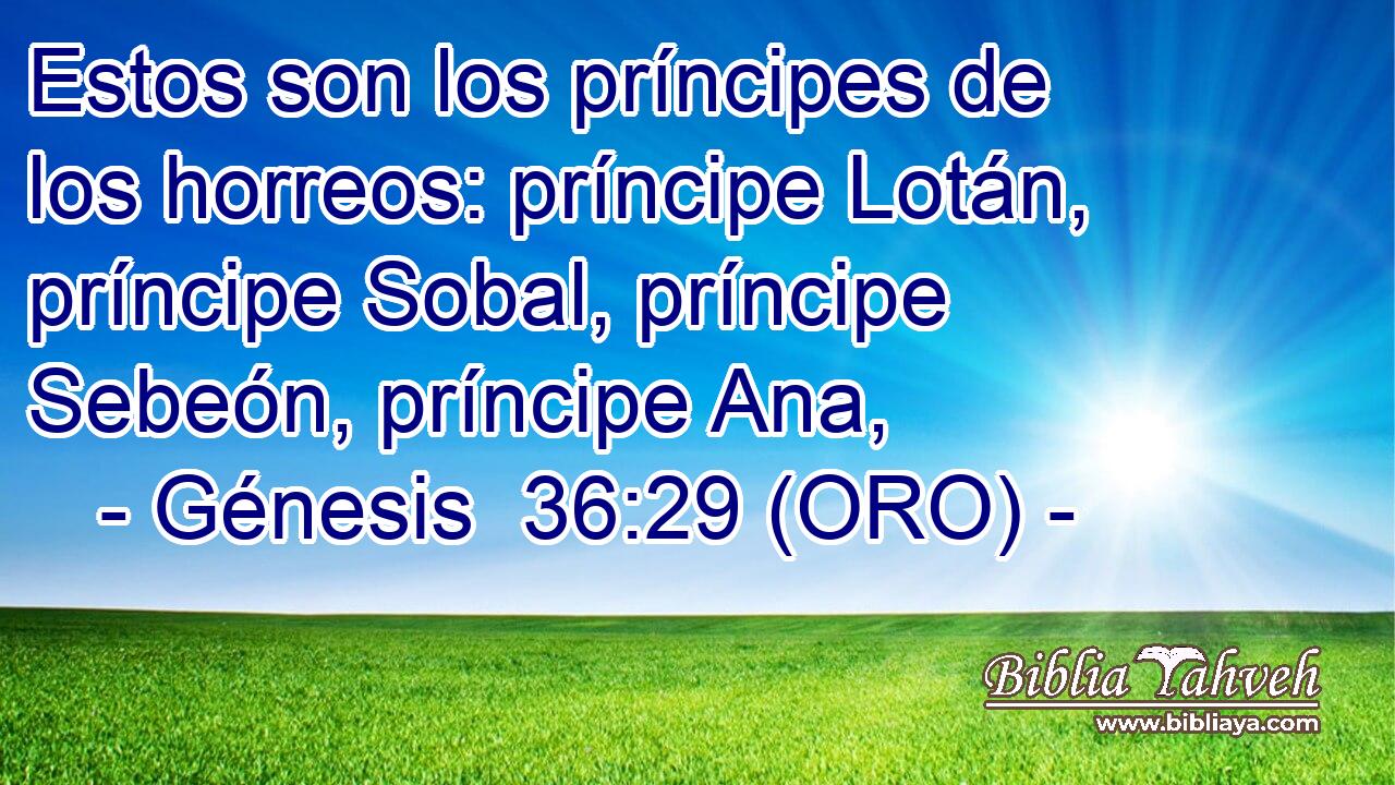  Estos son los príncipes de los horreos: príncipe Lotán, príncipe Sobal, príncipe Sebeón, príncipe Ana, 