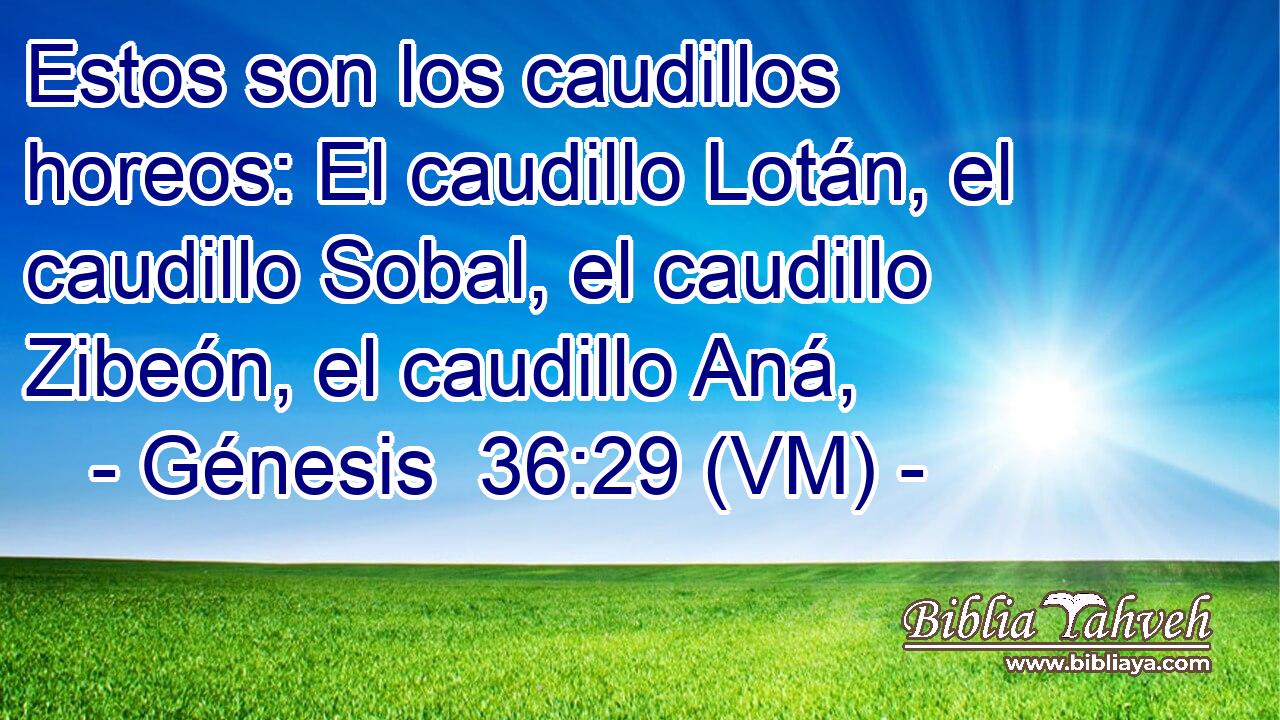  Estos son los caudillos horeos: El caudillo Lotán, el caudillo Sobal, el caudillo Zibeón, el caudillo Aná, 