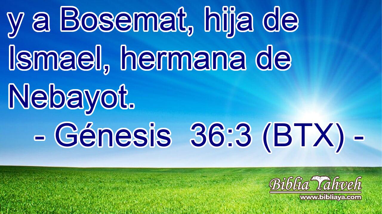 y a Bosemat, hija de Ismael, hermana de Nebayot.