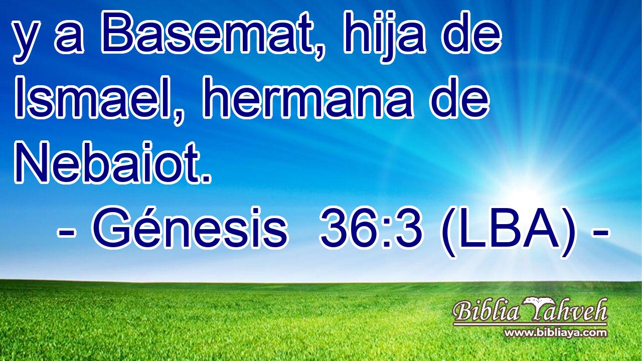 y a Basemat, hija de Ismael, hermana de Nebaiot.