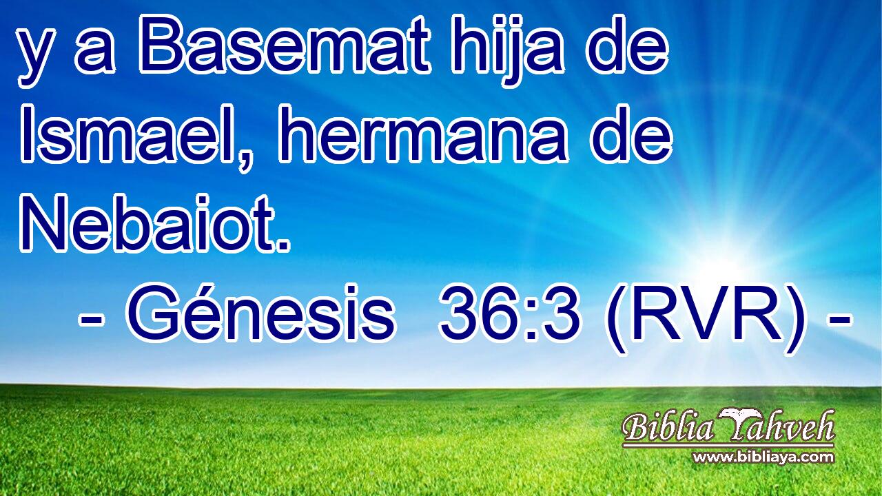 y a Basemat hija de Ismael, hermana de Nebaiot.