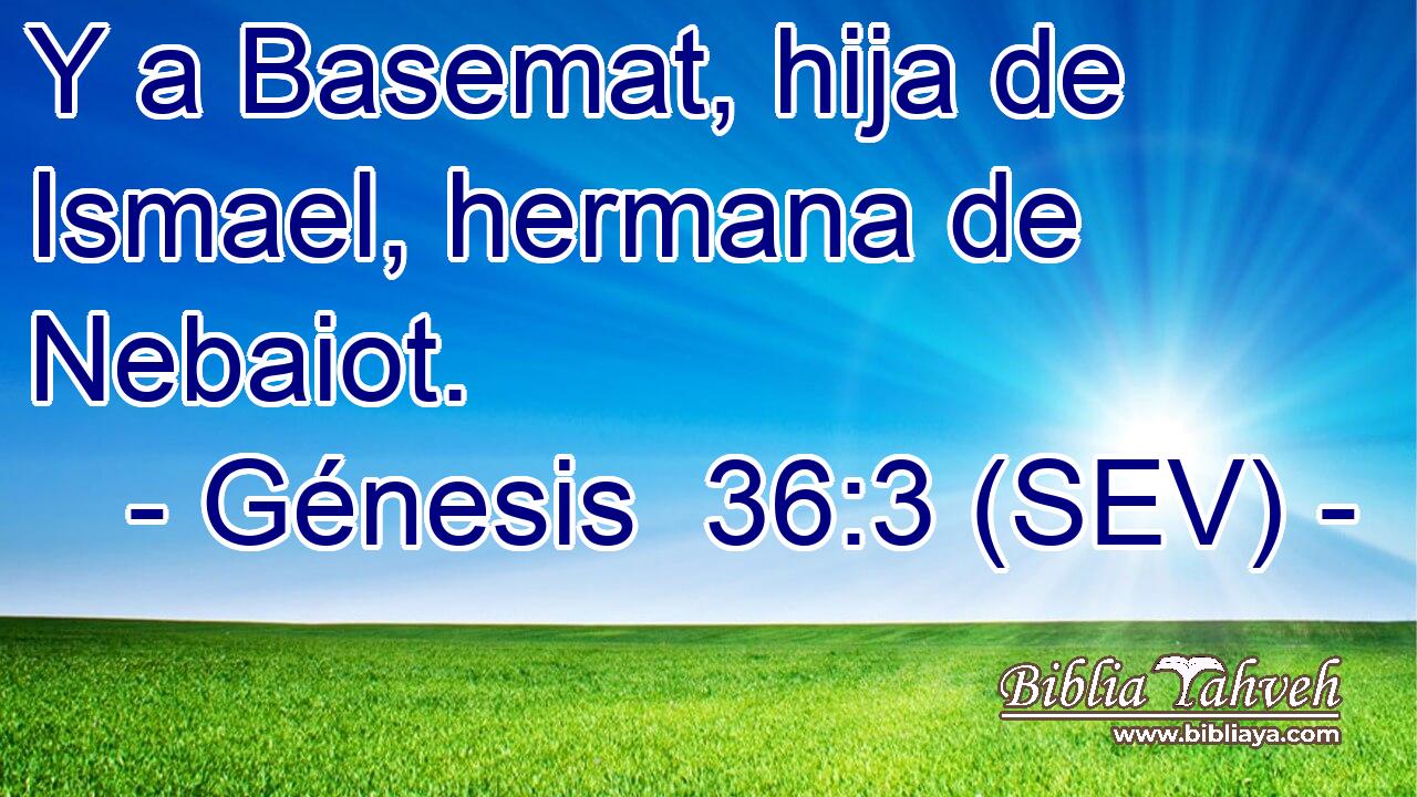 Y a Basemat, hija de Ismael, hermana de Nebaiot.