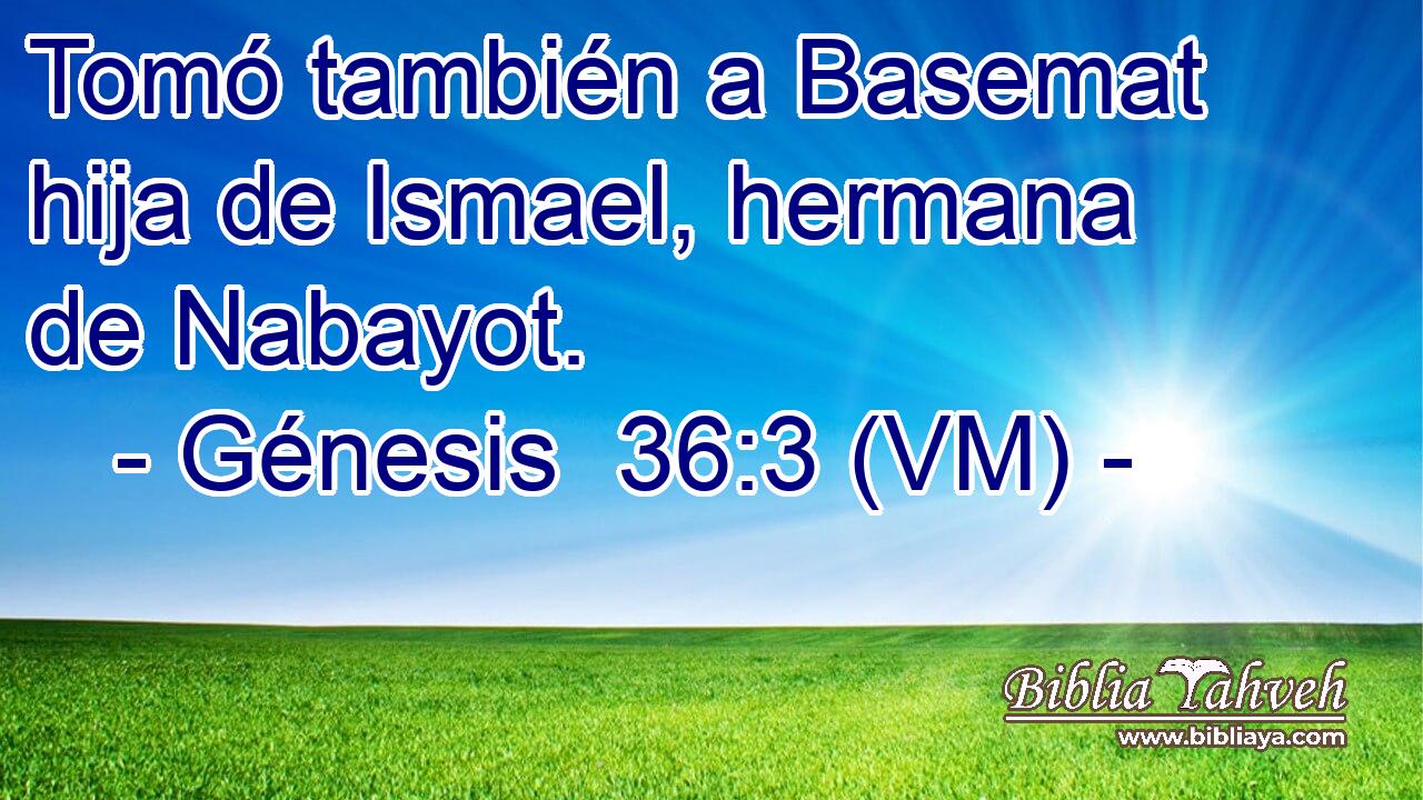  Tomó también a Basemat hija de Ismael, hermana de Nabayot. 