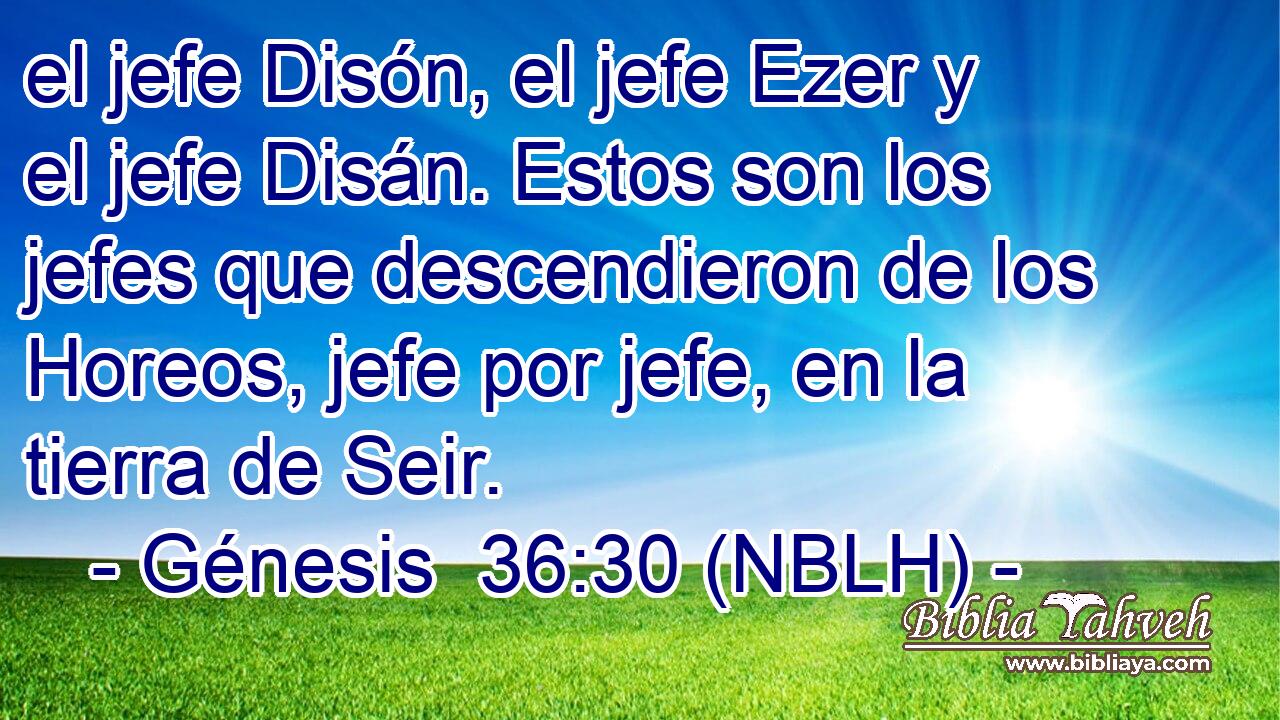  el jefe Disón, el jefe Ezer y el jefe Disán. Estos son los jefes que descendieron de los Horeos, jefe por jefe, en la tierra de Seir. 