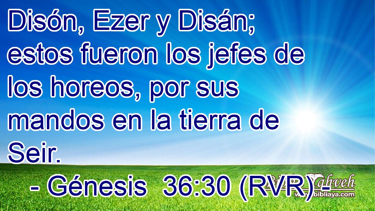 Disón, Ezer y Disán; estos fueron los jefes de los horeos, por sus mandos en la tierra de Seir.