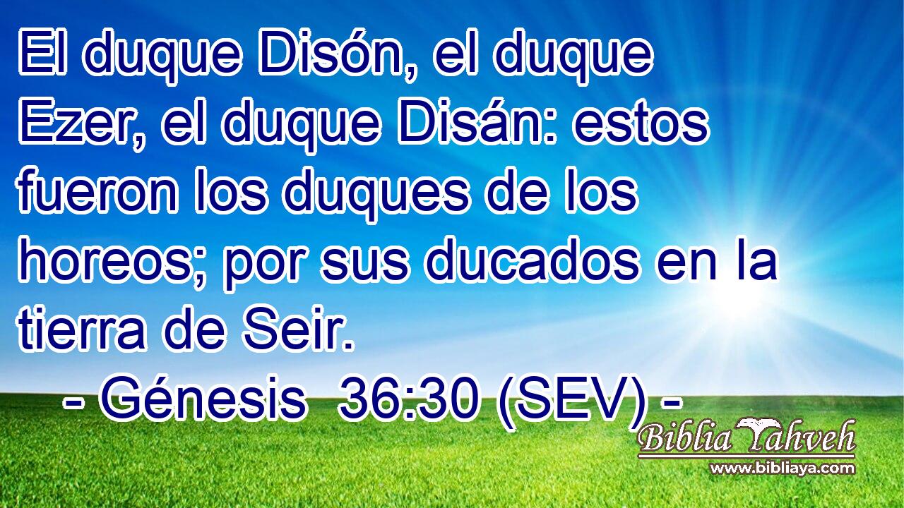 El duque Disón, el duque Ezer, el duque Disán: estos fueron los duques de los horeos; por sus ducados en la tierra de Seir.