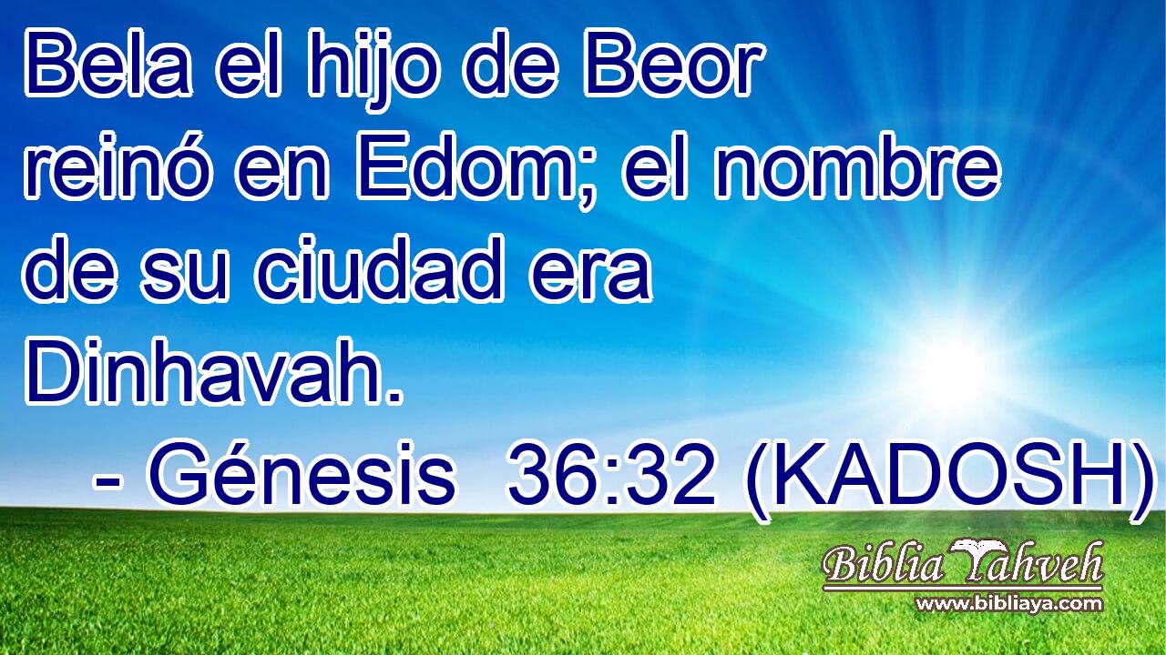  Bela el hijo de Beor reinó en Edom; el nombre de su ciudad era Dinhavah. 