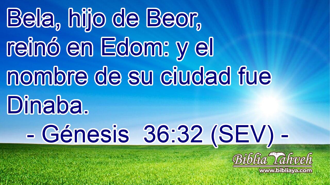 Bela, hijo de Beor, reinó en Edom: y el nombre de su ciudad fue Dinaba.