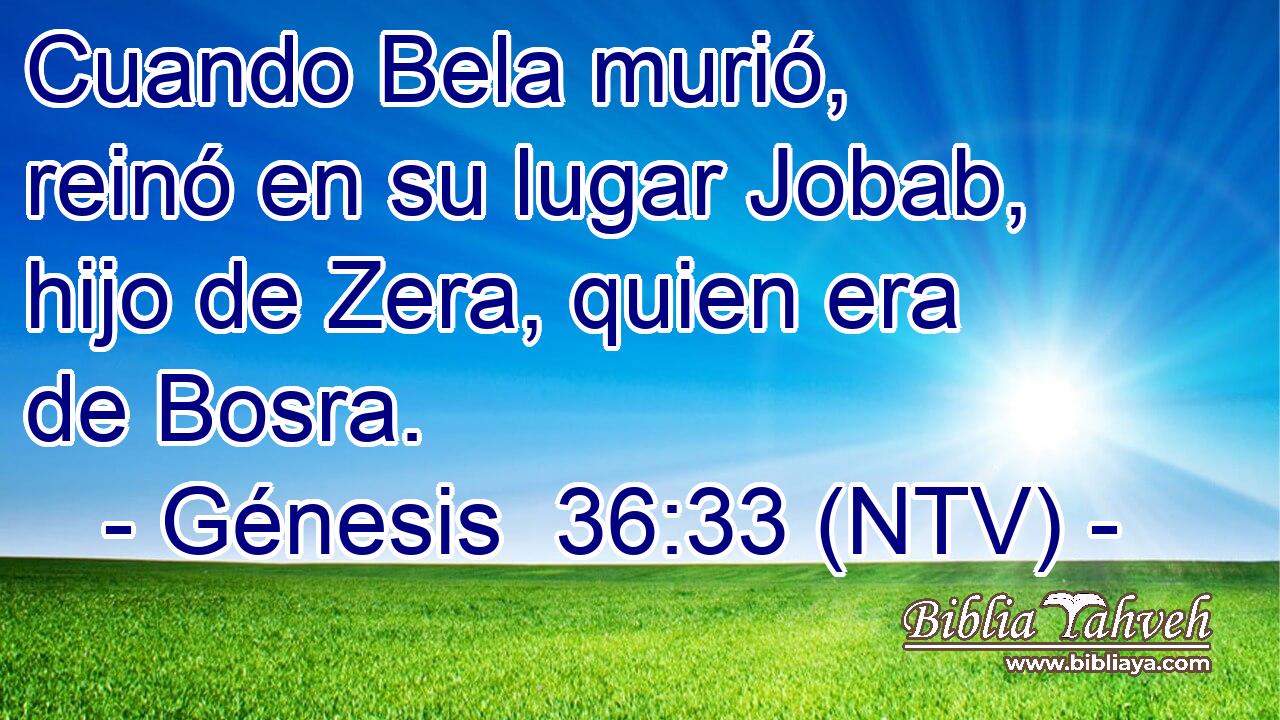 Cuando Bela murió, reinó en su lugar Jobab, hijo de Zera, quien era de Bosra.
