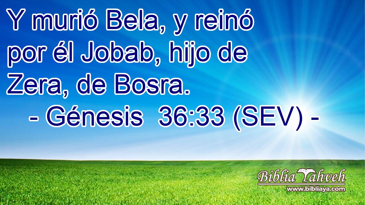 Y murió Bela, y reinó por él Jobab, hijo de Zera, de Bosra.