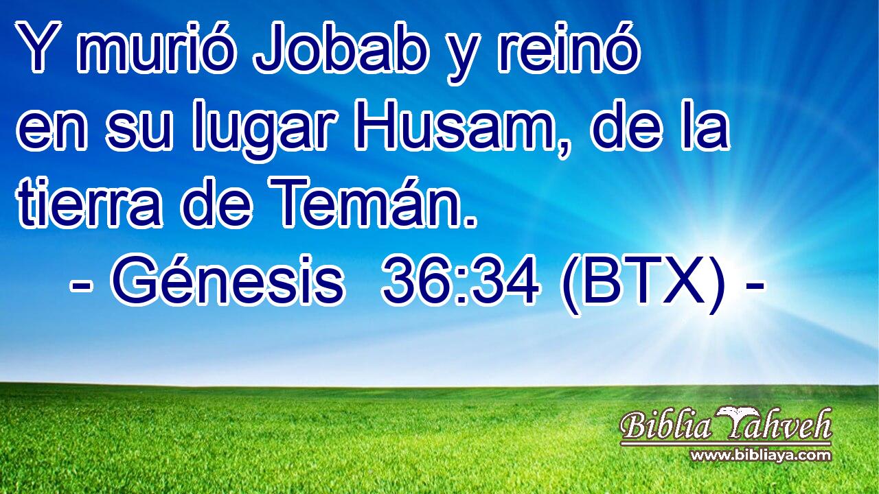 Y murió Jobab y reinó en su lugar Husam, de la tierra de Temán.