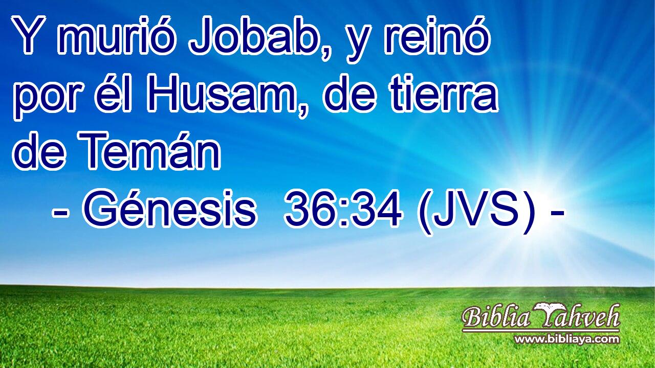 Y murió Jobab, y reinó por él Husam, de tierra de Temán