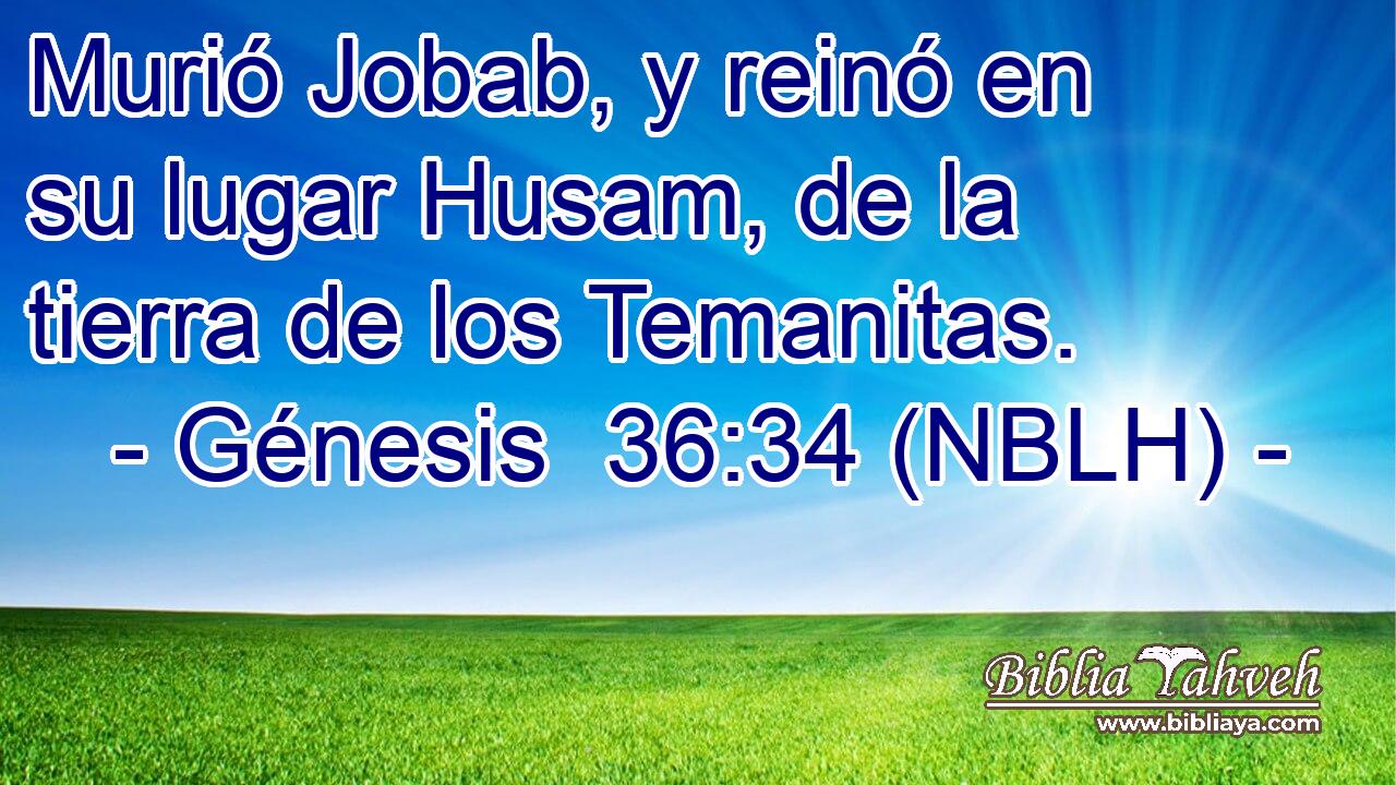  Murió Jobab, y reinó en su lugar Husam, de la tierra de los Temanitas. 