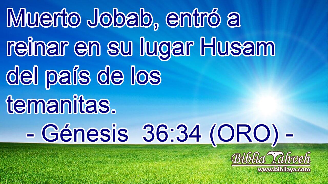  Muerto Jobab, entró a reinar en su lugar Husam del país de los temanitas. 