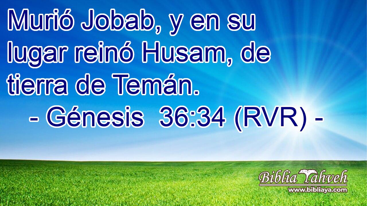 Murió Jobab, y en su lugar reinó Husam, de tierra de Temán.