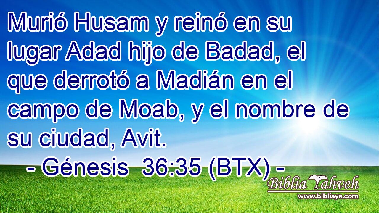 Murió Husam y reinó en su lugar Adad hijo de Badad, el que derrotó a Madián en el campo de Moab, y el nombre de su ciudad, Avit.