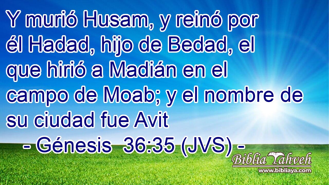 Y murió Husam, y reinó por él Hadad, hijo de Bedad, el que hirió a Madián en el campo de Moab; y el nombre de su ciudad fue Avit