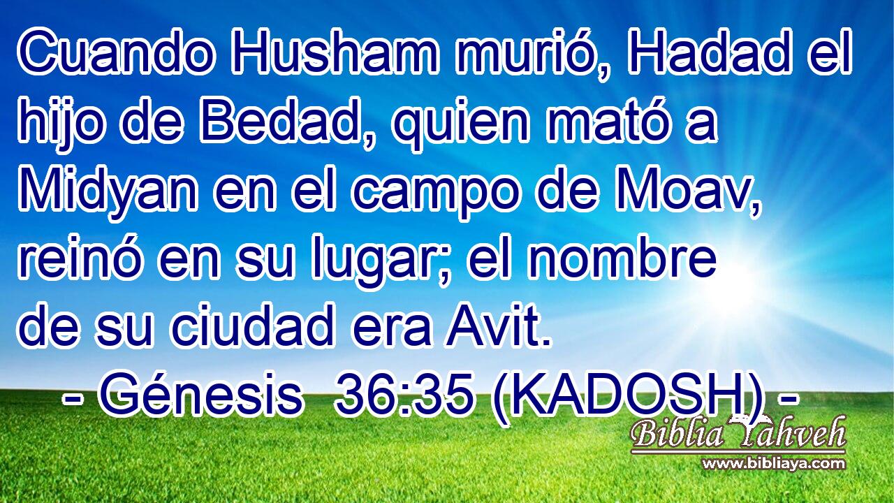  Cuando Husham murió, Hadad el hijo de Bedad, quien mató a Midyan en el campo de Moav, reinó en su lugar; el nombre de su ciudad era Avit. 