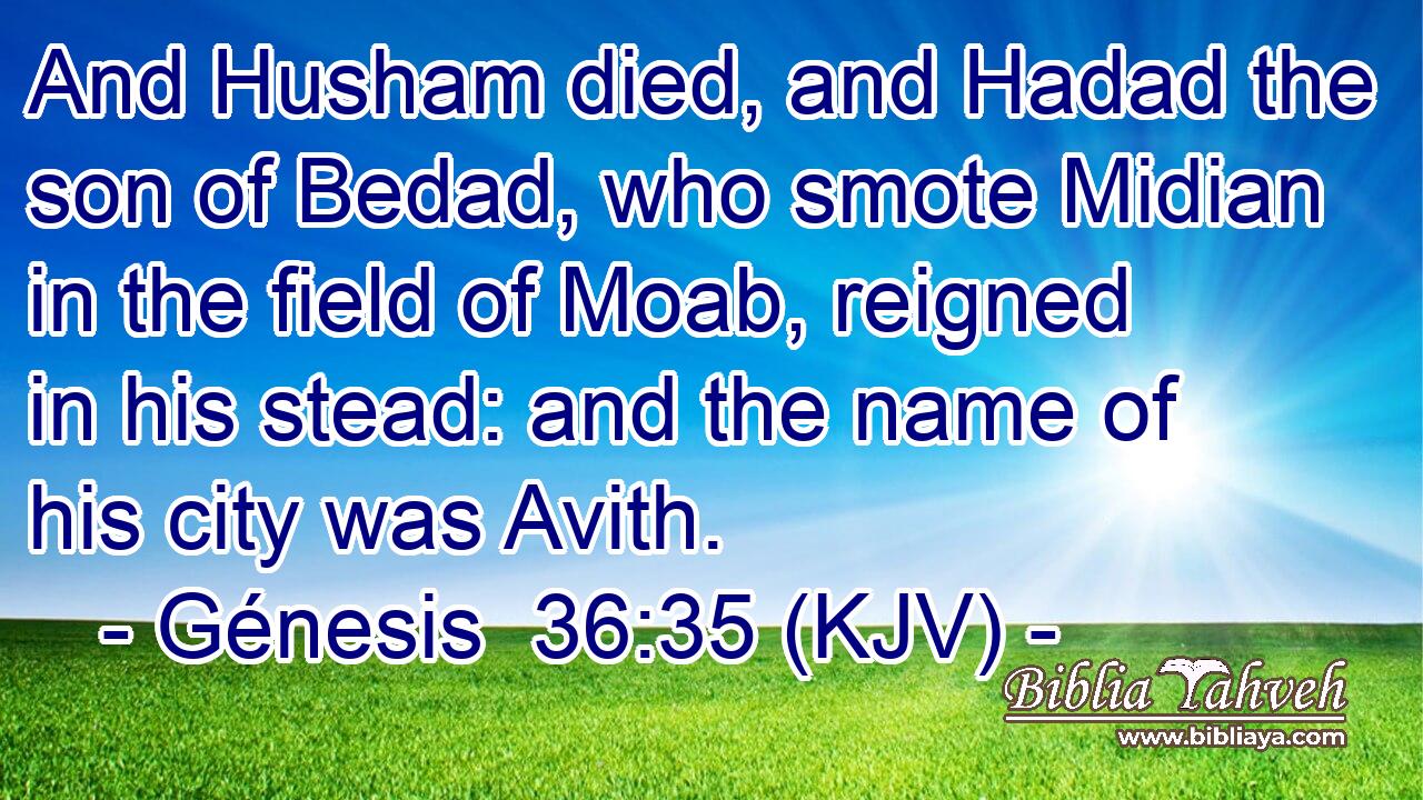 And Husham died, and Hadad the son of Bedad, who smote Midian in the field of Moab, reigned in his stead: and the name of his city was Avith.
